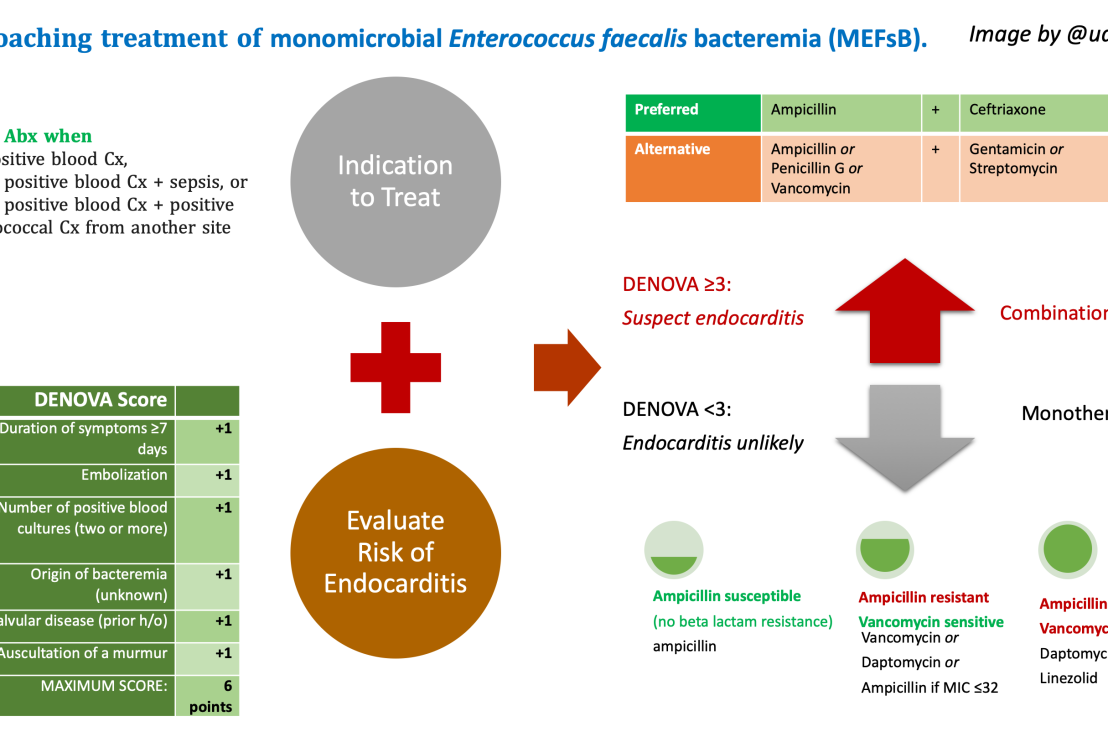 How do you approach enterococcal bacteremia?